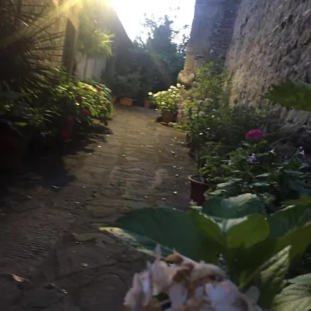 Casa Vacanze Carole Holiday home Fivizzano